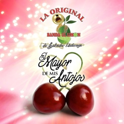 La Original Banda El Limon De Salvador Lizarraga - El Mayor de Mis Antojos