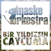 Bir Yıldızsın Çaycuma artwork