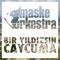 Bir Yıldızsın Çaycuma artwork