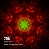 285 Hz Solfeggio Frequencies - Tissue Regeneration Tones artwork