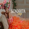 Senorita - Single