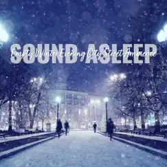 Empty Winter Evening City Street Ambience, Pt. 1 Song Lyrics