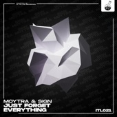 Just Forget Everything artwork
