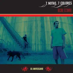 Hecho, Es Simple (XX Aniversario) - 7 Notas 7 Colores