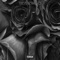 Not This Again (feat. LXS) - Romero Uno lyrics