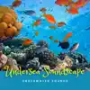 Undersea Soundscape (Underwater Sounds) album lyrics, reviews, download