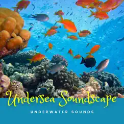Under the Wave Song Lyrics