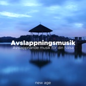 Avslappningsmusik - Avslappnande musik för din hälsa artwork