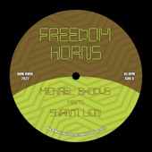 Freedom Horns (feat. Shanti Lion) artwork