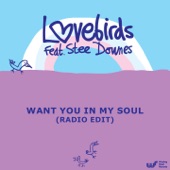 Want You In My Soul (feat. Stee Downes) [Radio Edit] artwork