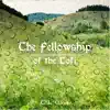 The Fellowship of the Lofi album lyrics, reviews, download