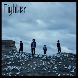 Fighter - Single