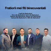 Fratiorii mei fiti binecuvantati (feat. Petrisor din Barbulesti, Robert Din Barbulesti, Samuel din Barbulesti & Mili din Barbulesti) artwork
