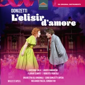 Donizetti: L'elisir d'amore (Live) artwork