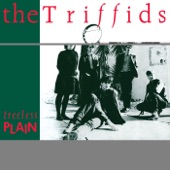 The Triffids - My Baby Thinks She's a Train (Live)