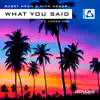 Stream & download What You Said (feat. Lokka Vox) - Single