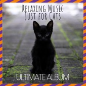 Relaxing Music Just for Cats: Ultimate Album artwork