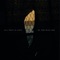 Come Along (feat. Aaron Gillespie) - The Dangerous Summer lyrics