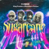 Sugarcane (Sped Up & Glitch Africa Remix) - Single