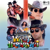 Tumko Dekha Aur Ho Gaya artwork