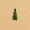 Tree Tops song lyrics