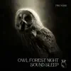 Owl Forest Night Sound Sleep, Relax (With Pink Noise), Loopable album lyrics, reviews, download