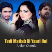 Tedi Matlab Di Yaari Hai artwork