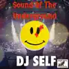 Sound of the Underground (feat. DJ Self) - Single album lyrics, reviews, download