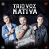 Trio Voz Nativa - Quem Diria