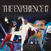 The Experience 17 (feat. Dunsin Oyekan) artwork