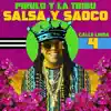 Calle Linda 4: Salsa y Saoco album lyrics, reviews, download