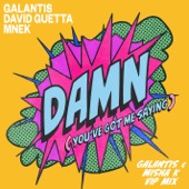 Damn (You’ve Got Me Saying) [Galantis & Misha K VIP Mix] artwork