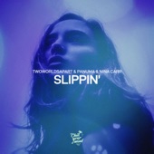 Slippin' artwork