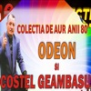 Fata Te-Am Gasit Mireasa
