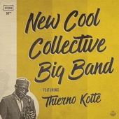 New Cool Collective Big Band (feat. Thierno Koité) artwork