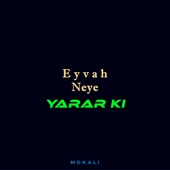 Eyvah Neye Yarar Ki artwork