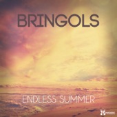 Endless Summer (The Generik Vocal Cut Mix) artwork