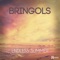 Endless Summer (The Generik Vocal Cut Mix) - Bringols lyrics