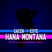 HANA MONTANA (Vayto & Dj Daxshadow Remix) artwork