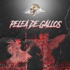 Pelea de Gallos - Single