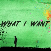 What I Want artwork