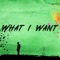 What I Want artwork