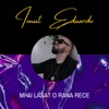 Mi-ai lasat o rana rece - Single