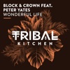 Wonderful Life (feat. Peter Yates) - Single