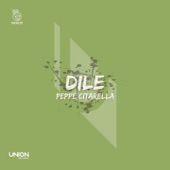 Dile (Only Drums & Vocal Mix) artwork