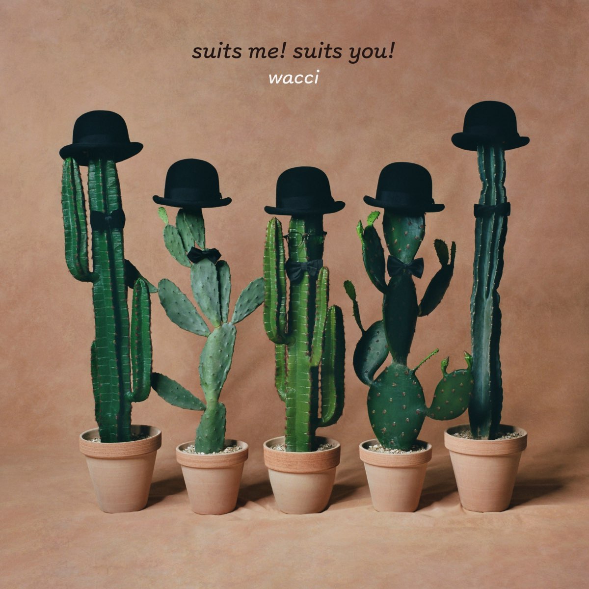 suits-me-suits-you-by-wacci-on-apple-music