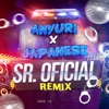 Sr. Oficial (Remix) - Single