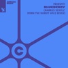 Blueberry (Markus Schulz Down the Rabbit Hole Remix) - Single