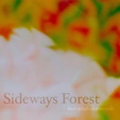Sideways Forest (Acoustic Mix) [Bonus Track] artwork