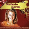 Top45 - Stefanie Hertel, 2009